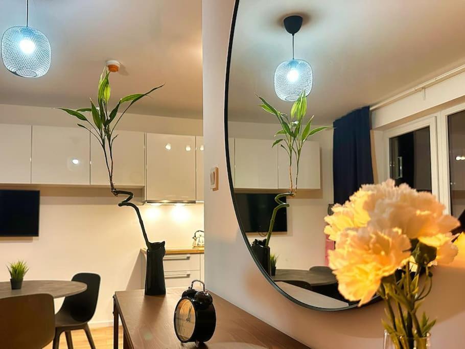 Klimatyczna Hotelowa Kawalerka Apartment *